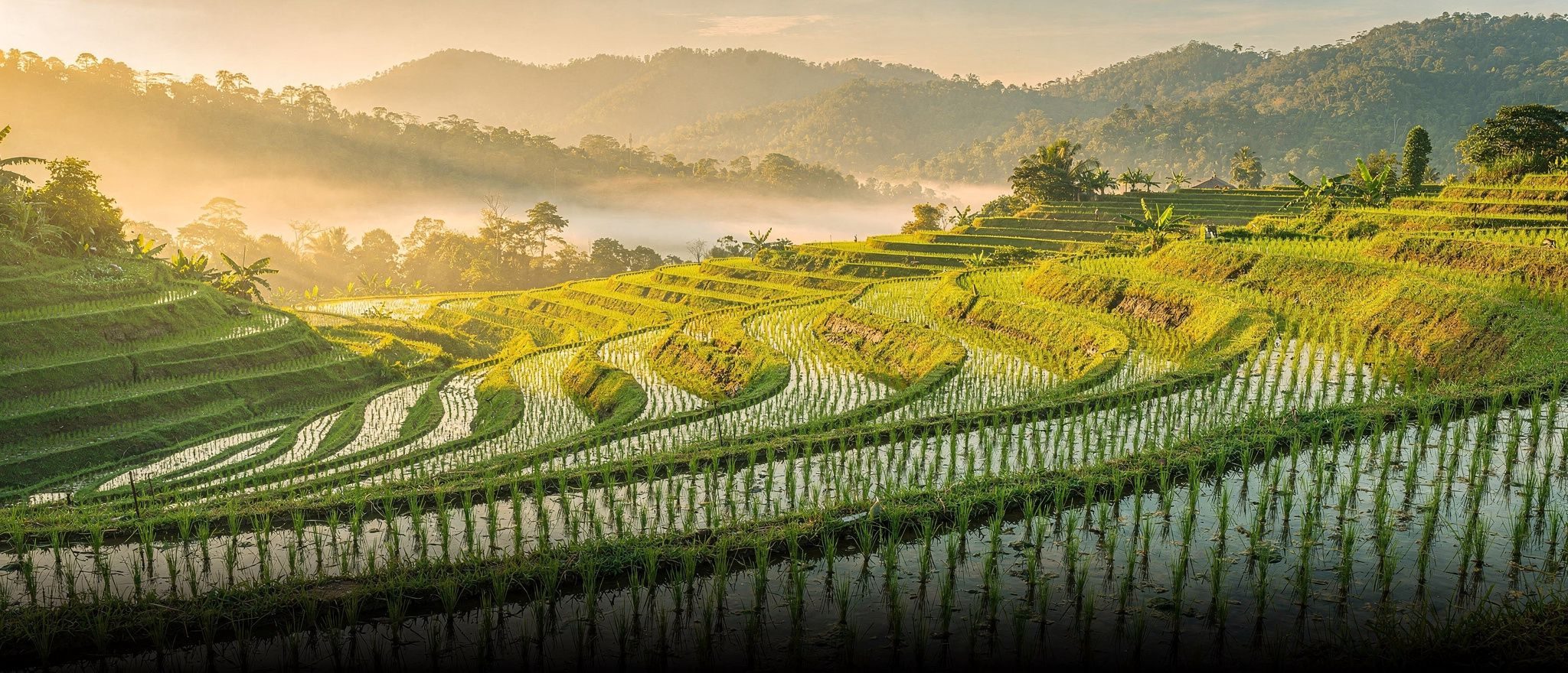 (ตัวอย่าง) แนะนำสหกรณ์ออมทรัพย์ กระทรวงเกษตรและสหกรณ์